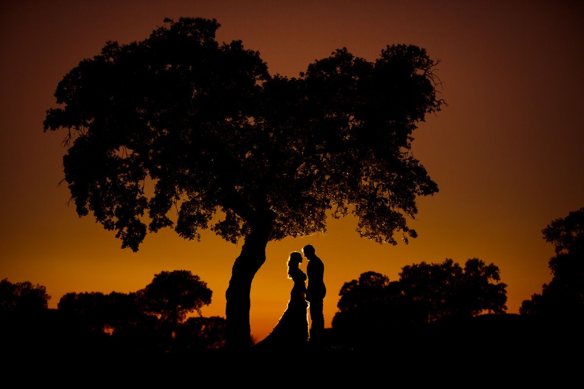 Fotografo Bodas Cordoba - Luis y Maria