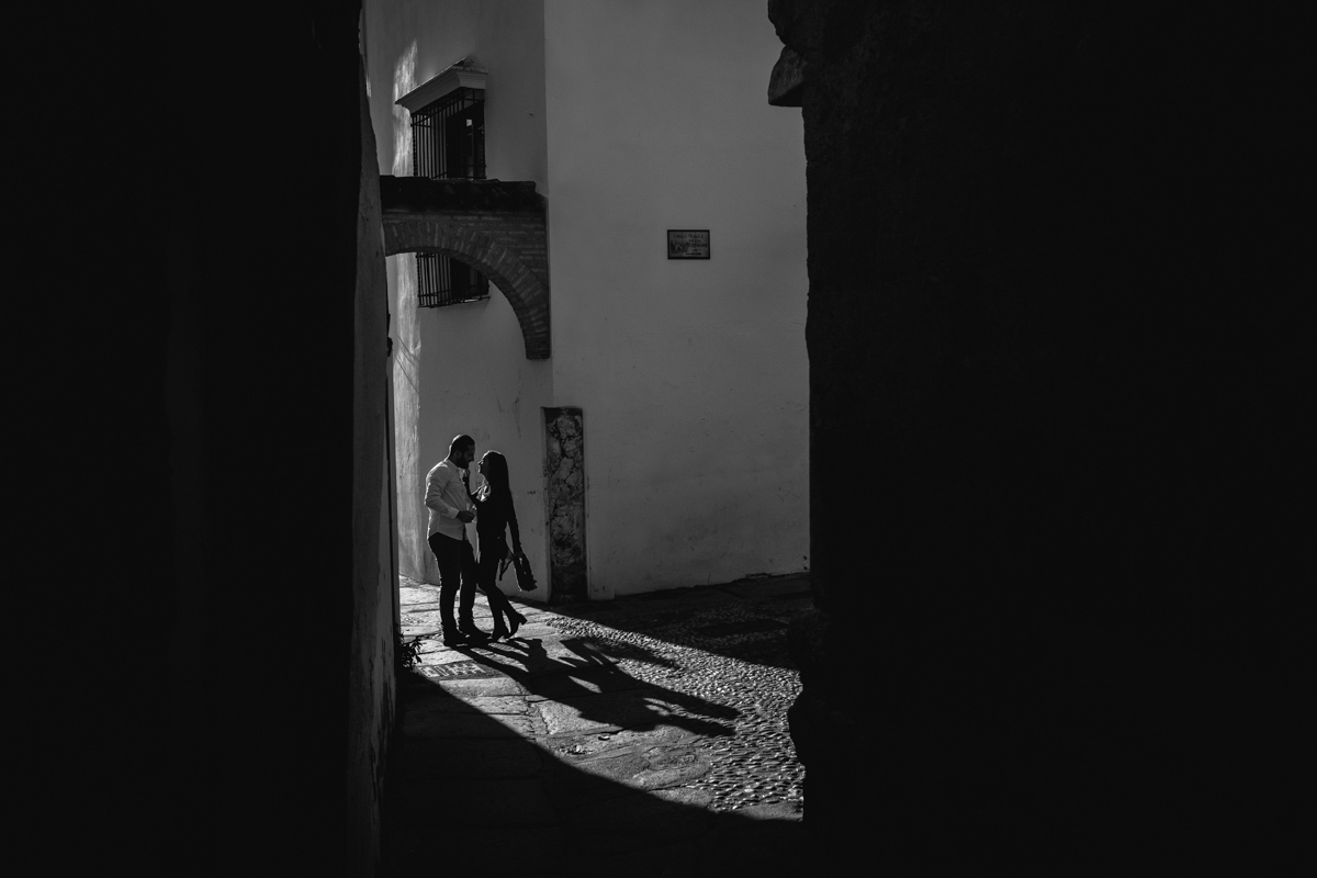 Ana Beln, Miguel Ros, Vctor Manuel, Joan Manuel Serrat