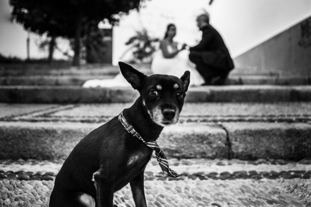 Fotografo en Andalucia