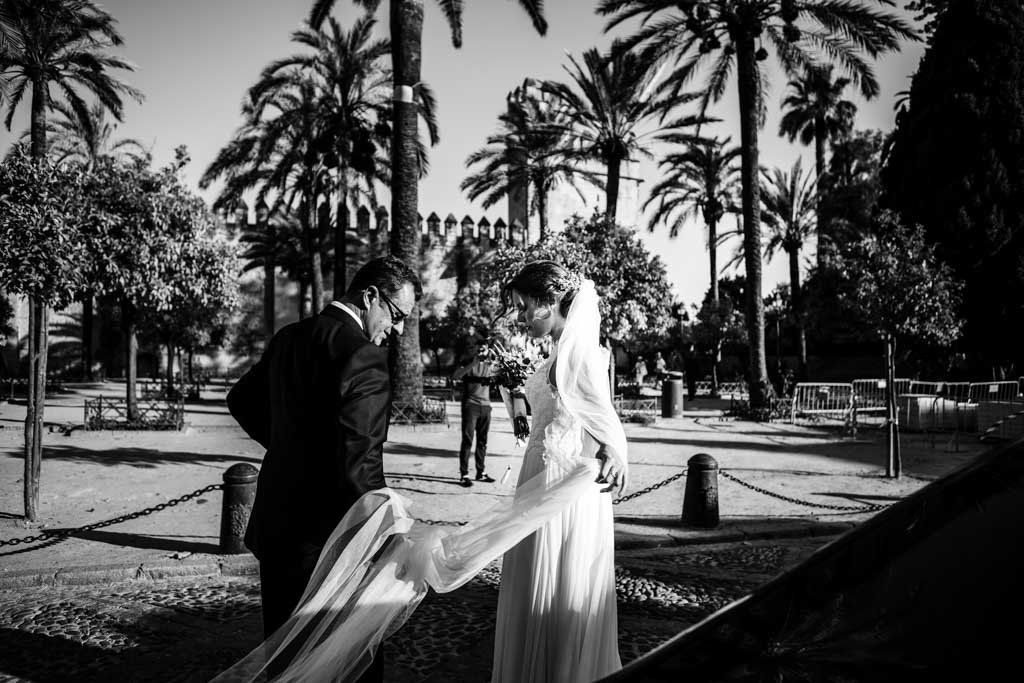 Boda Alcazar y La Bodega, novia llegando al alcazar